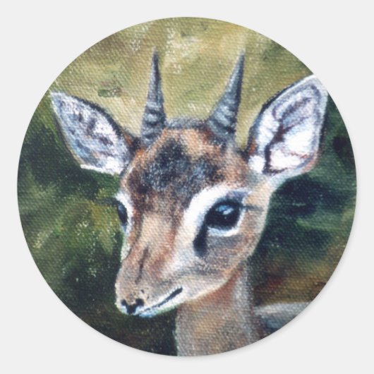 Autocollant nain d'antilope de Dikdik (Devant)