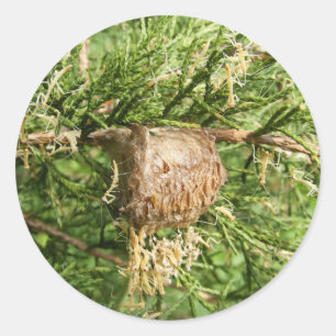 Autocollant naissant de ~ de mante