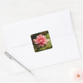 Autocollant nénuphar (Enveloppe)
