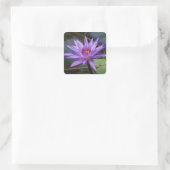 Autocollant nénuphar (Sac)