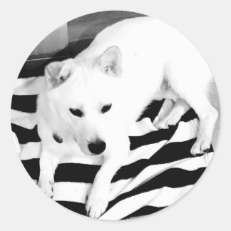 Autocollant noir et blanc