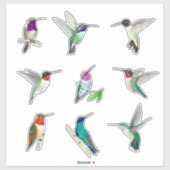 Autocollant nord-américain pour colibris (Feuille)