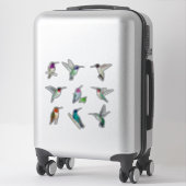 Autocollant nord-américain pour colibris (Sur valise)