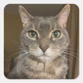 Autocollant Ophelia (Devant)