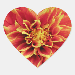 Autocollant orange vif en forme de coeur