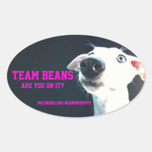 Autocollant ovale Team Beans