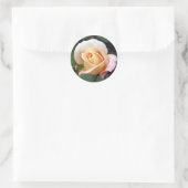 autocollant - Pale Peach Rosebud (Sac)