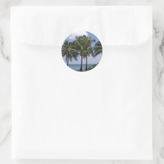 Autocollant Palm Trees (Sac)