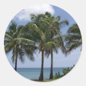 Autocollant Palm Trees (Devant)