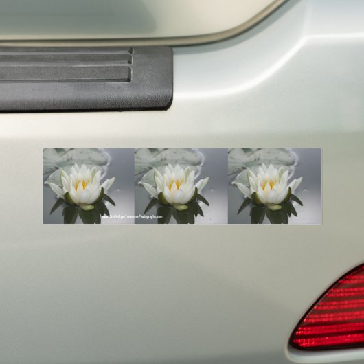 Autocollant pare-chocs à fleurs d'eau Art de voitu (En voiture)