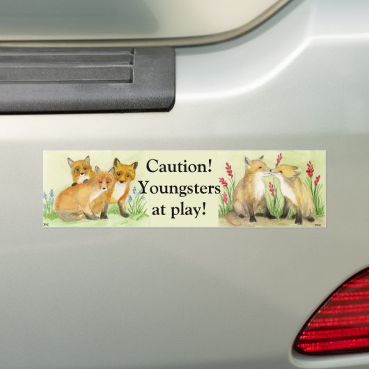 Autocollant pare-chocs Fox Kits (En voiture)