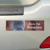 Autocollant pare-chocs Orangutan (En voiture)