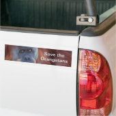 Autocollant pare-chocs Orangutan (Sur camion)