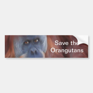 Autocollant pare-chocs Orangutan