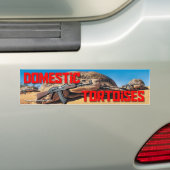 Autocollant pare-chocs Tortoises domestiques (En voiture)