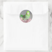 Autocollant : Parrotlet Pacifique (Sac)