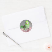 Autocollant : Parrotlet Pacifique (Enveloppe)
