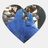 autocollant _ perroquets _ baiser (Devant)