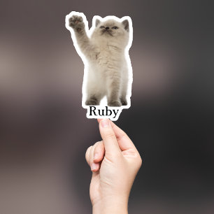 Autocollant personnalisé pour animaux de compagnie