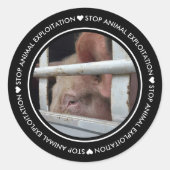 Autocollant photo Black Stop Animal Exploitation P (Devant)