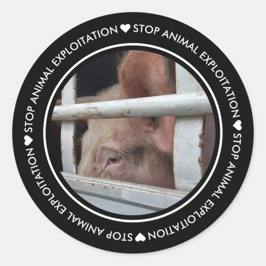 Autocollant photo Black Stop Animal Exploitation P (Devant)