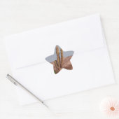 Autocollant photo Cactus (Enveloppe)