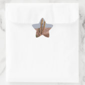 Autocollant photo Cactus (Sac)