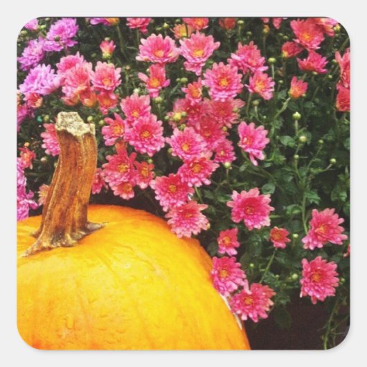 autocollant photo instagram (Devant)