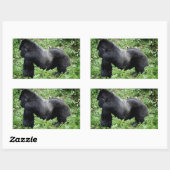 Autocollant photo Silverback gorilla (Feuille)