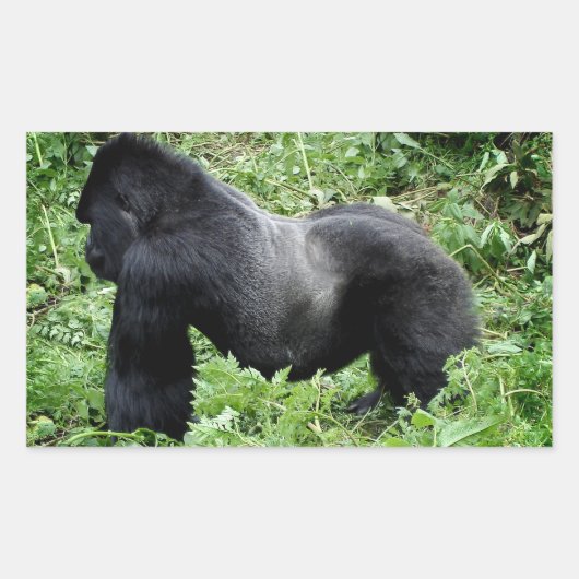 Autocollant photo Silverback gorilla (Devant)