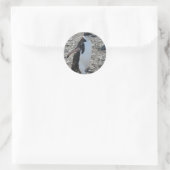 Autocollant : Pingouin à rayures (Sac)