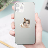 Autocollant Pouce en l'air Ok Chat Meme (Téléphone)