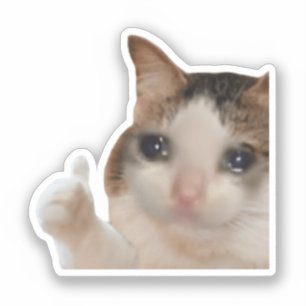 Autocollant Pouce en l'air Ok Chat Meme