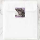 Autocollant pour chien de repérage brun / noir Lab (Sac)
