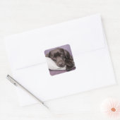 Autocollant pour chien de repérage brun / noir Lab (Enveloppe)