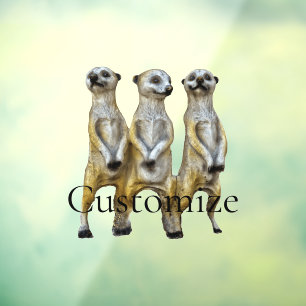 Autocollant Pour Fenêtre 3 Meerkats debats Thunder_Cove