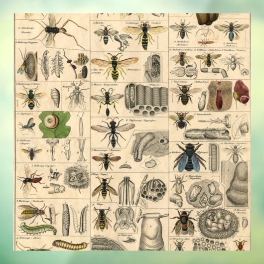 Autocollant Pour Fenêtre Abeille Insecte Bug Wasp Nature Peinture des abeil (Feuille 3)