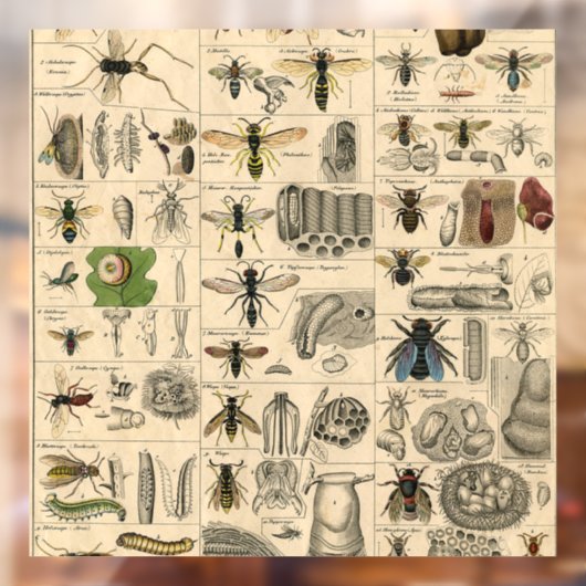 Autocollant Pour Fenêtre Abeille Insecte Bug Wasp Nature Peinture des abeil (Feuille 2)