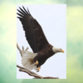 Autocollant Pour Fenêtre Aigle De Colombiana, Ohio (Feuille 3)