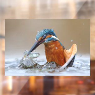 Autocollant Pour Fenêtre Alcedo Atthis Martin-pêcheur chassant dans l'eau L