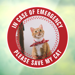 Autocollant Pour Fenêtre Alerte de sécurité pour animaux Photo de chat pers