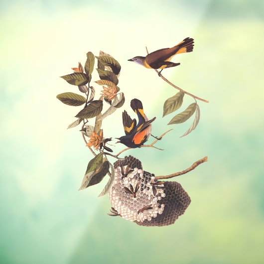 Autocollant Pour Fenêtre American Redstart Audubon Birds and Wasp Nest (Feuille 3)