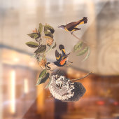 Autocollant Pour Fenêtre American Redstart Audubon Birds and Wasp Nest (Feuille 2)