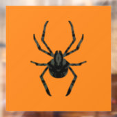 Autocollant Pour Fenêtre Araignée ordinaire (Feuille 2)