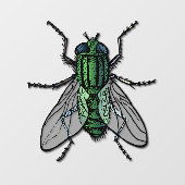 Autocollant Pour Fenêtre Atteindre l'attention (Feuille)