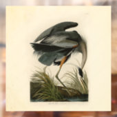 Autocollant Pour Fenêtre Audubon Great Blue Heron Marsh Bird (Feuille 2)