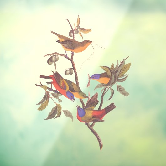 Autocollant Pour Fenêtre Audubon Painted Bunting Birds is Wild Plum Tree (Feuille 3)