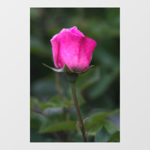 Autocollant Pour Fenêtre Autocollant de fenêtre - Photographie élégante de