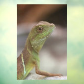 Autocollant Pour Fenêtre Baiser d'Iguana (Feuille 3)