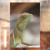 Autocollant Pour Fenêtre Baiser d'Iguana (Feuille 2)